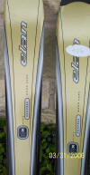 Elan skis and poles